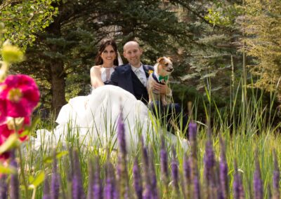 Vail Colorado wedding videography and photography bride groom dog beautiful nature wedding photos