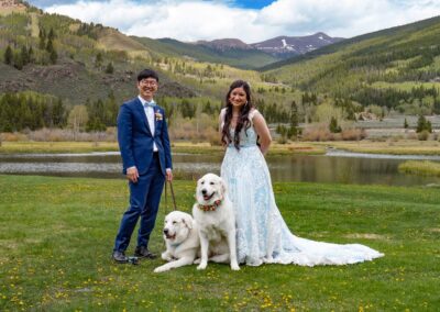 Wedding videography and photography combo package affordable budget dog bride groom